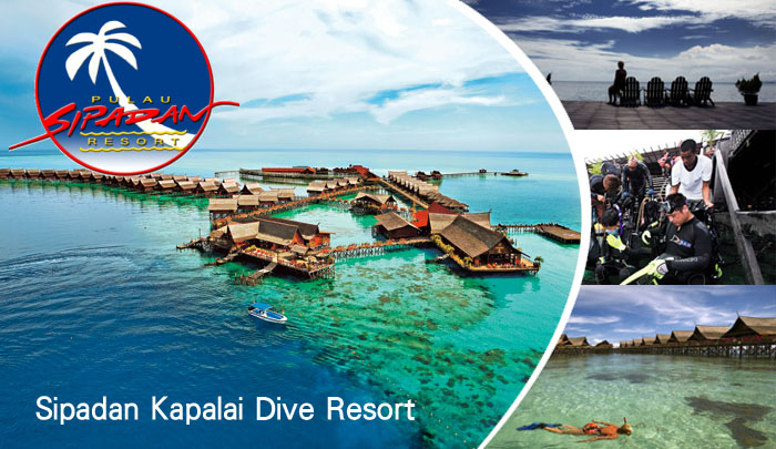 西巴丹--Kapalai Dive Resort