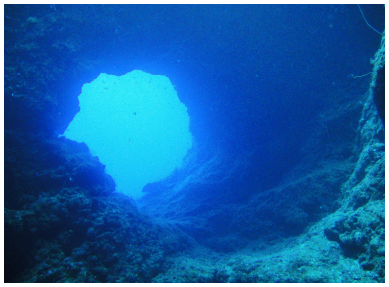 帛琉 Palau 五天 三日自由潛水